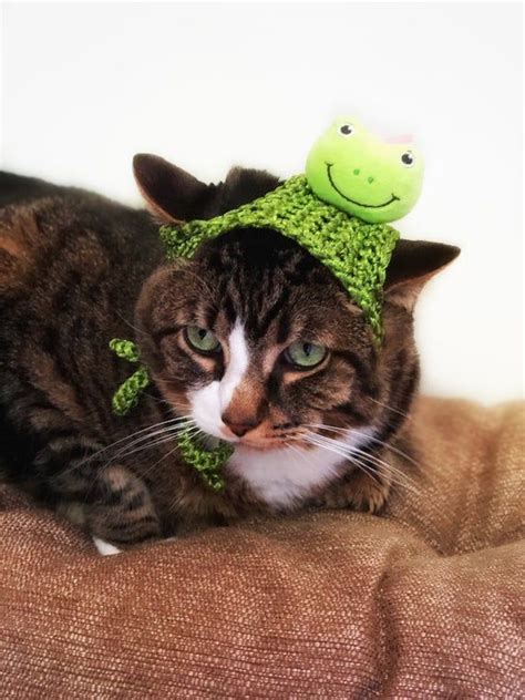 Halloween Costume Cat Hat Green Froggy Crochet Fashion