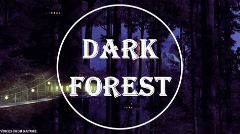 Dark Forest Creepy Ambient Music With Owl Sound Youtube
