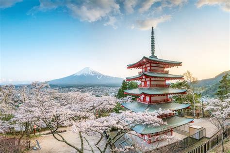 9 Địa Điểm Ngắm Hoa Anh Đào Nhật Bản Đẹp Nhất 2021