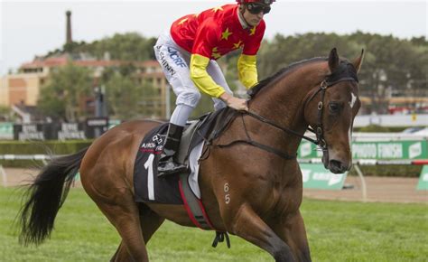 Caulfield Guineas Hopefuls Set To Resume In Mcneil Stakes Sports News Australia