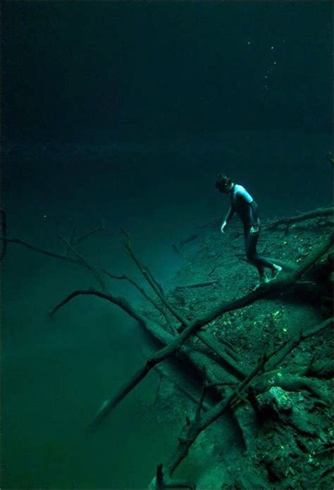 Cenote Angelita Mystical Underwater River In Mexico 🔥