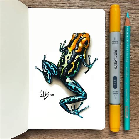Color Pencil Drawings By Miray 14 Color Pencil Drawing Frog Miray
