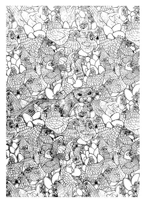 Hen Ferret Complex Birds Adult Coloring Pages