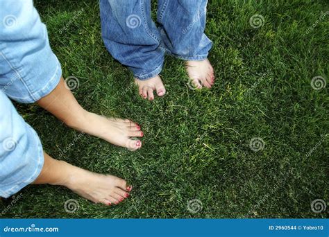 Bare Toes On Grass Stock Photo Image Of Grassy Outdoors
