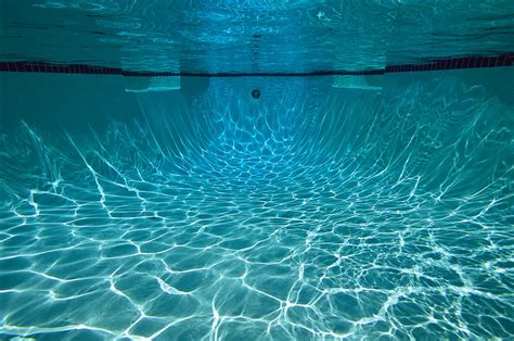 Underwater View In A Swimming Pool By Tim Laman