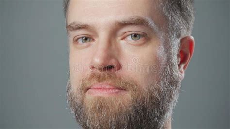 Photo Of Bearded Grinning Man On Grey Stock Image Image Of Concept