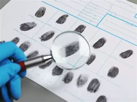 Cosè La Criminologia Forense Euroinnova