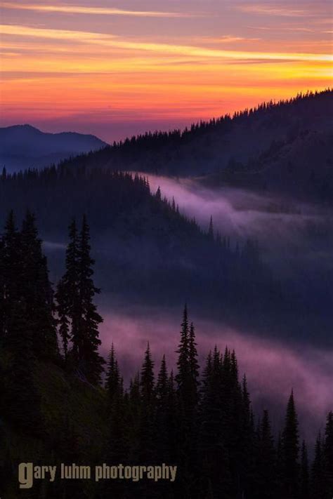Sunset Looking West From Hurricane Ridge Olympic National Park