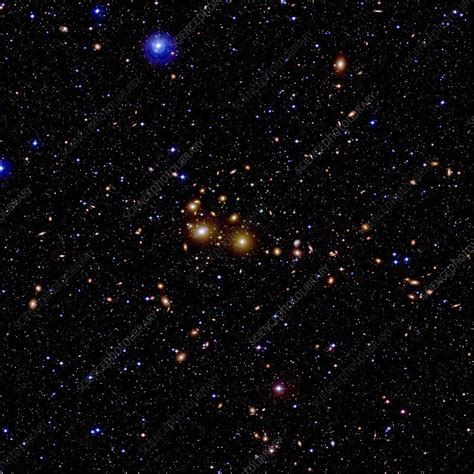 Perseus Galaxy Cluster Abell 426 Stock Image R9000105 Science