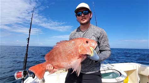 Florida Red Snapper 8 Person Limit In 20 Minutes Youtube