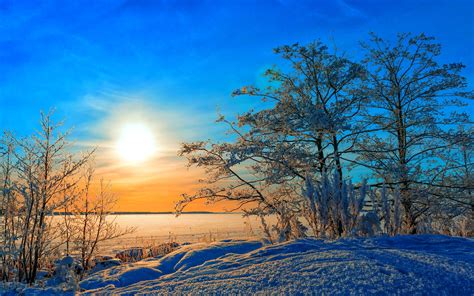 Wallpaper Winter Sunset Snow Tree Sun Sky Frost