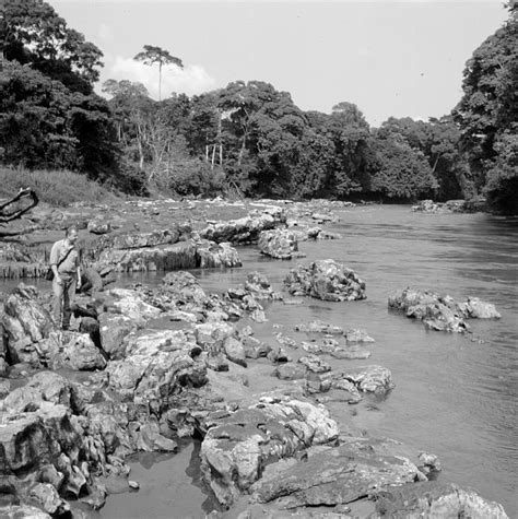 9 The Lowa River A Right Bank Tributary To The Congo Lualaba Which