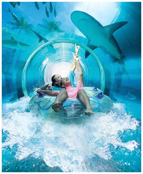Underwater Slide At Atlantis The Palm Resort Paging Fun Mums
