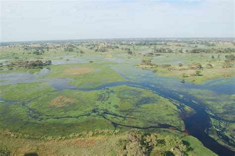 Fileokavango Delta Botswana 2674364913 Wikimedia Commons