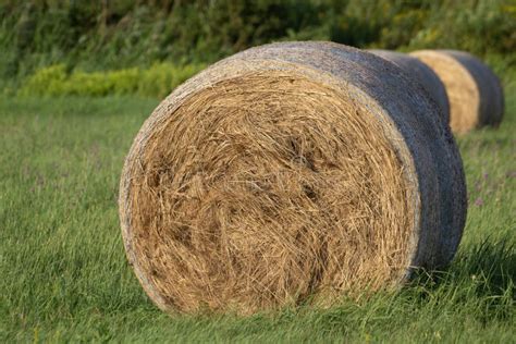 Hay Bale On The Meadow Farming Landscape With Relaxing Colours Stock