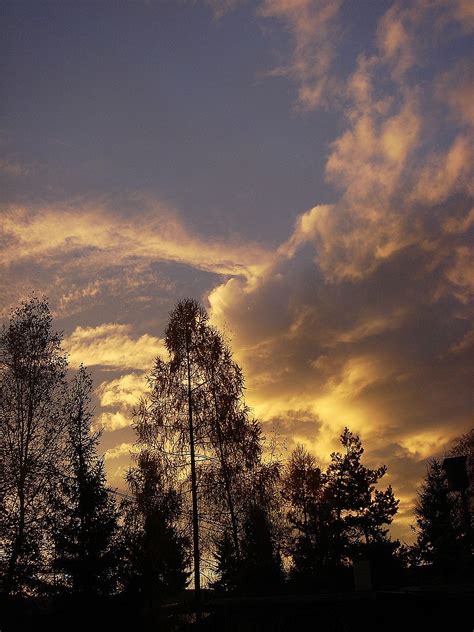 Free Images Tree Nature Cloud Sky Sun Sunrise Sunset Sunlight