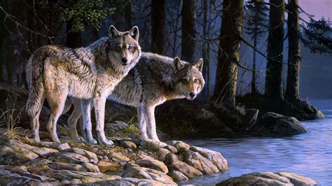 Wolves At River Digital Art Hd Wallpaper Hd Latest