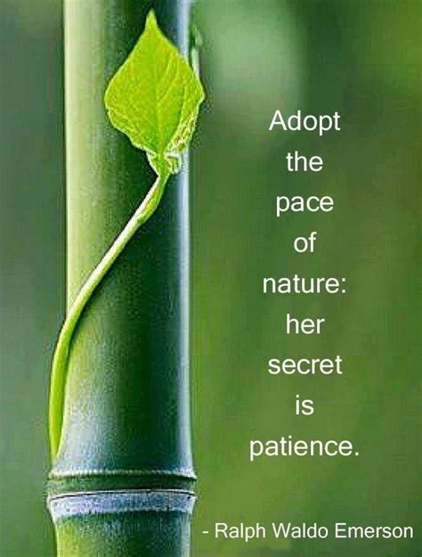 Pin By Malia Wisch On Sayingsspiritualother Writings Nature Quotes