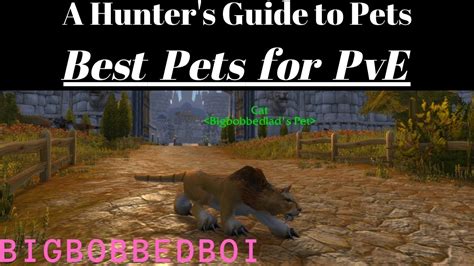 A Hunter's Guide to Pets: Best Pets for PvE | Classic WoW ...