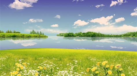 Cool Summer Backgrounds 57 Images