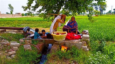 Village Life In Pakistan I Punjab Village Life I Rural Life Pakistan I