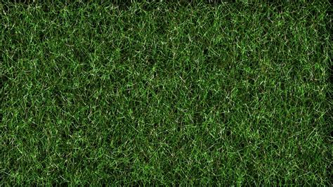 Grass Football Lawn · Free Photo On Pixabay