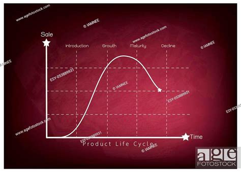Business And Marketing Concepts 4 Stage Of Product Life Cycle Chart On