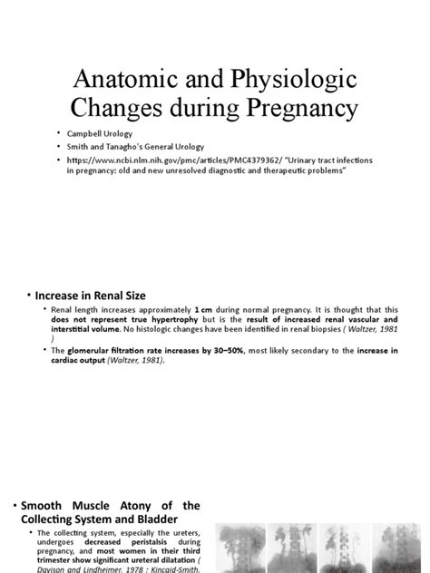 Anatomic And Physiologic Changes During Pregnancy Pdf Pregnancy