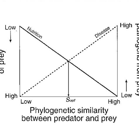 Relationship Between Predator Prey Genetic Similarity And Growth And