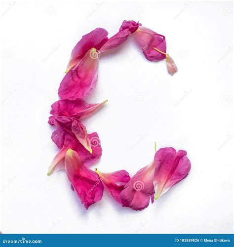 Alphabet Made Of Peony Petals Letter C Layout For Design Stock Photo