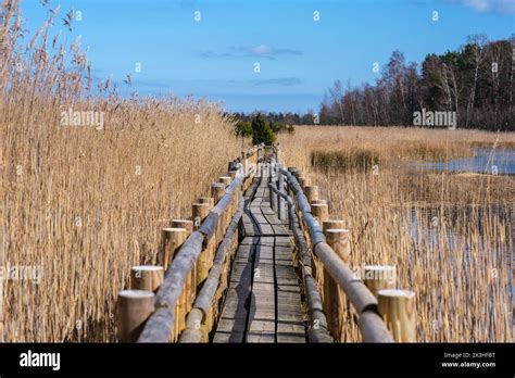 Traversing Kanieris' wooden trail unveils the hidden treasures of