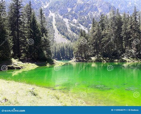 Green Lake In Austria Sorrounded By Conifers And Mountains Stock Image
