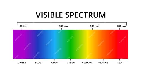 Premium Vector Visible Light Spectrum Electromagnetic Visible Color