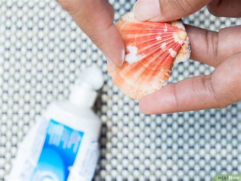 How To Clean And Polish Seashells 12 Steps With Pictures Cleaning