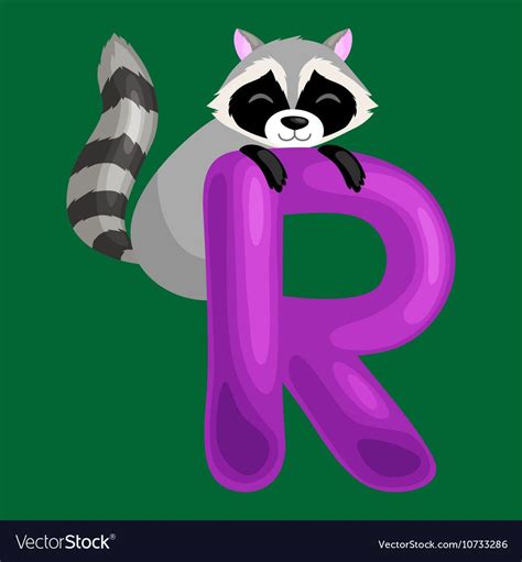 Raccoon Animal And Letter R For Kids Abc Education In Preschoolcute