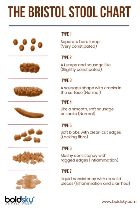 Different Types Of Poop And What Your Poop Color Says About Your Health