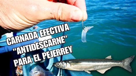 Carnada Efectiva Antidescarne Para Pescar Pejerrey Youtube