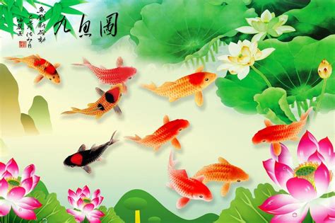 Con cá chép này đặc biệt bởi trong miệng nó có ngậm một viên ngọc quý. Tranh đẹp về cá Chép (1) - M21Love