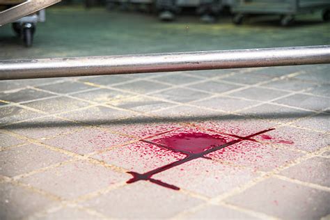 heavy wip about blood on the dance floor, also known by their abbreviated name botdf, was an american electropop band, its most however despite the previous criticism, jeffree star would later make amends with dahvie vanity, with jeffree having a credited feature on the group's 2014 song. Blood On Floor Stock Photos, Pictures & Royalty-Free ...