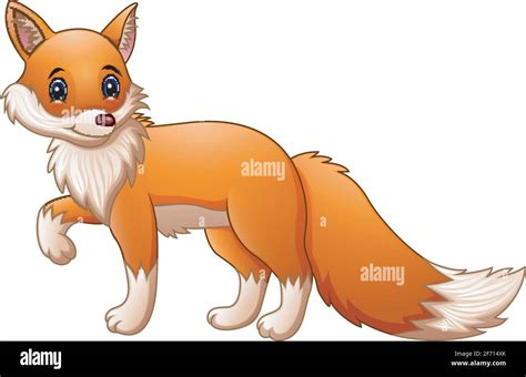 Vector Illustration Of Cute Fox Cartoon Stock Vector Image And Art Alamy