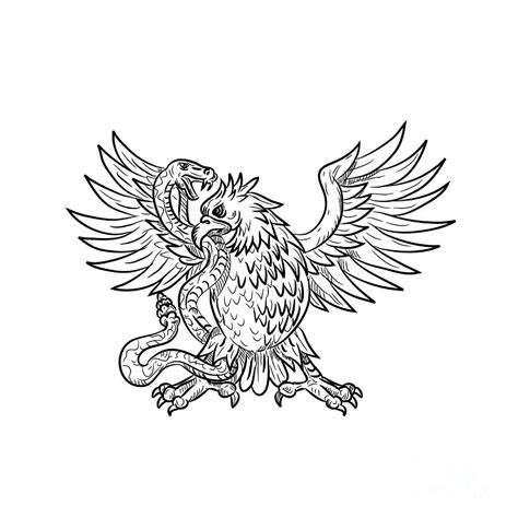 We did not find results for: Mexican Eagle Fighting Rattlesnake Drawing Black and White ...