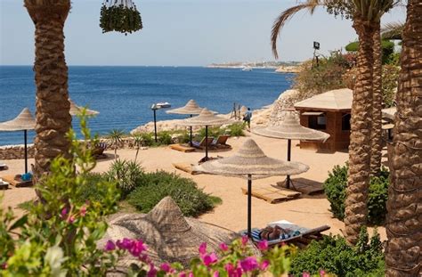 473 vacation rentals and hotels available now. Siva Sharm El Sheikh, Sharm el Sheikh | Purple Travel