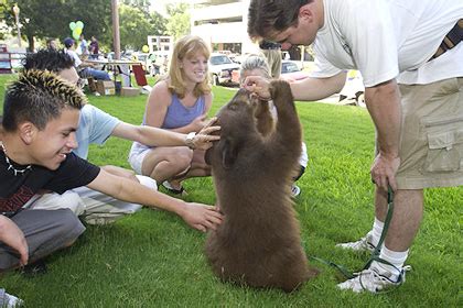 But baylor has not only one, but two live bears. Baylor Welcomes Class Of 2005 | Media Communications | Baylor University