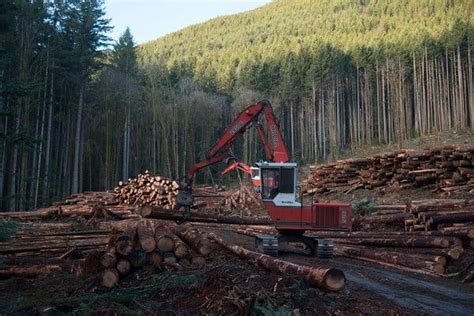 in new trade front trump slaps tariff on canadian lumber the new york times