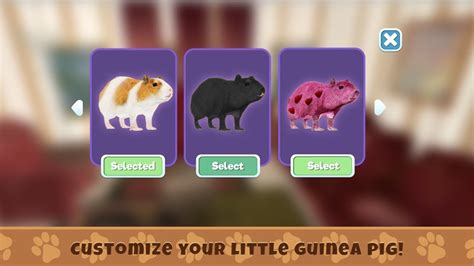 Guinea Pig Simulator Game By Juliia Blokhina
