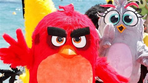 Angry Birds Llega A Netflix Con Una Serie De Animación Panamá América