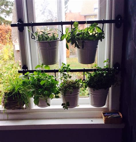 See more ideas about window sill, window view, through the window. e26559226eeef849bf43499249efeb02.jpg 1,200×1,260 pixels ...