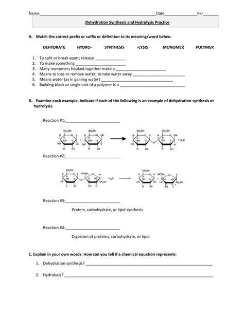 2ca + o2 æ 2cao 2. Dehydration Synthesis and Hydrolysis Practice