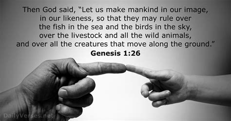 17 Bible Verses About Genesis 1 2627