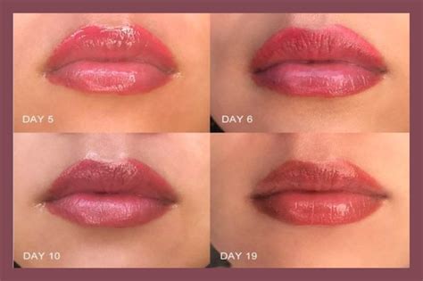 Lip Permanent Makeup Healing Tutorial Pics